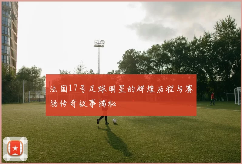 法国17号足球明星的辉煌历程与赛场传奇故事揭秘