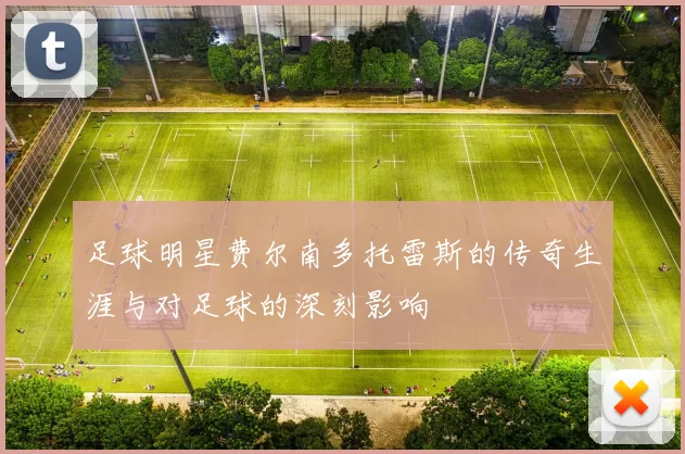 足球明星费尔南多托雷斯的传奇生涯与对足球的深刻影响