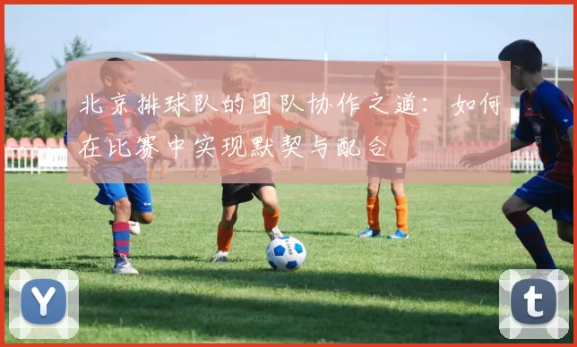 北京排球队的团队协作之道：如何在比赛中实现默契与配合