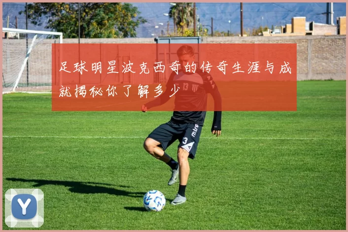 足球明星波克西奇的传奇生涯与成就揭秘你了解多少