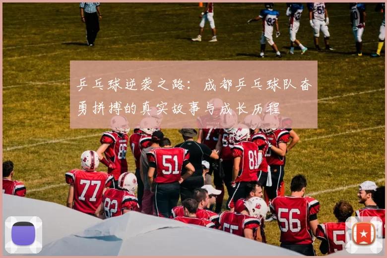 乒乓球逆袭之路：成都乒乓球队奋勇拼搏的真实故事与成长历程