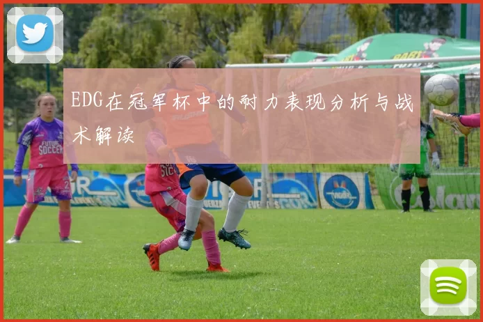 EDG在冠军杯中的耐力表现分析与战术解读