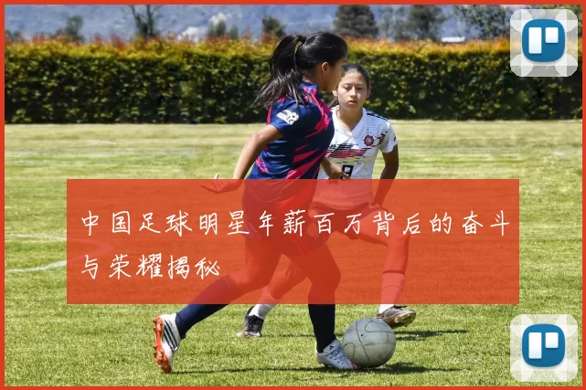 中国足球明星年薪百万背后的奋斗与荣耀揭秘