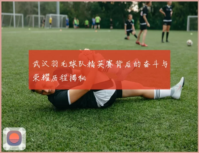 武汉羽毛球队精英赛背后的奋斗与荣耀历程揭秘