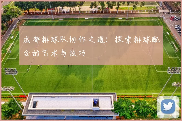 成都排球队协作之道：探索排球配合的艺术与技巧