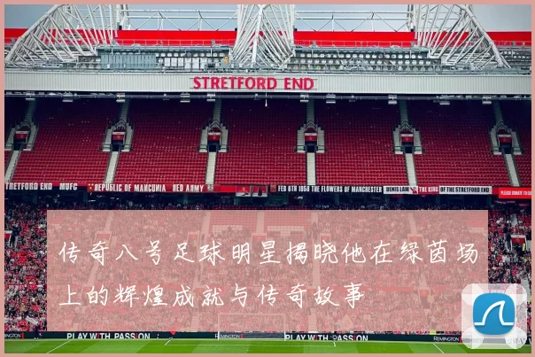 传奇八号足球明星揭晓他在绿茵场上的辉煌成就与传奇故事