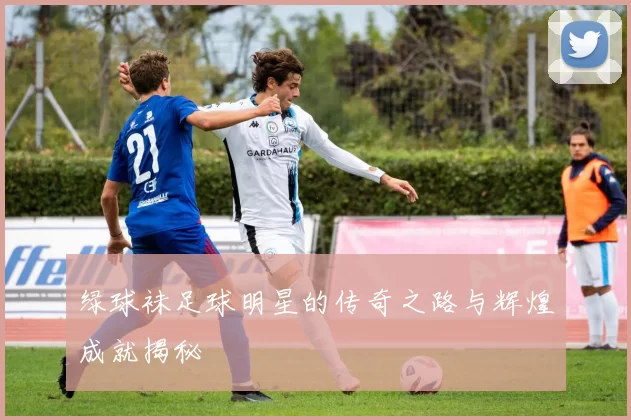 绿球袜足球明星的传奇之路与辉煌成就揭秘