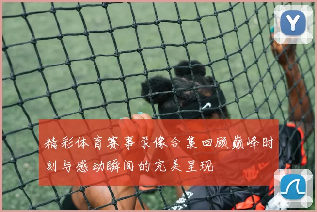 精彩体育赛事录像合集回顾巅峰时刻与感动瞬间的完美呈现