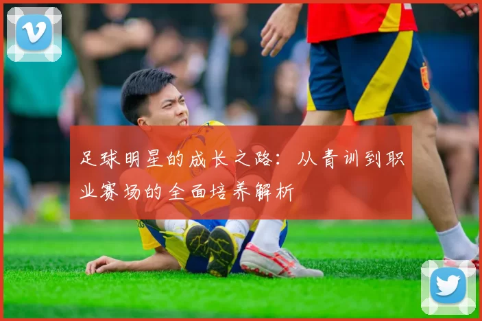 足球明星的成长之路：从青训到职业赛场的全面培养解析
