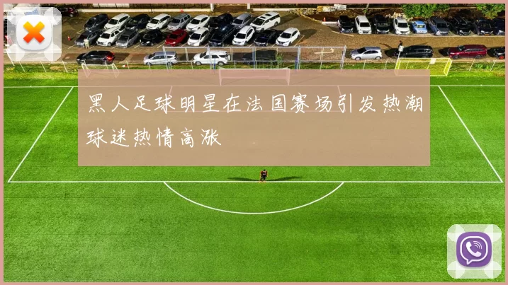 黑人足球明星在法国赛场引发热潮球迷热情高涨