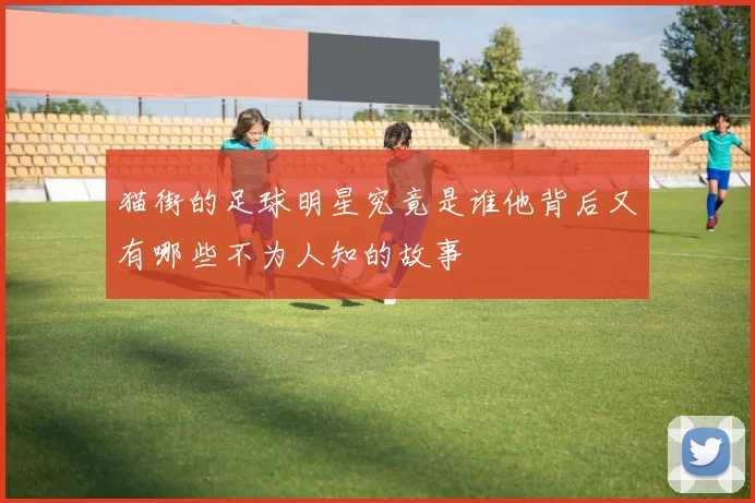 猫街的足球明星究竟是谁他背后又有哪些不为人知的故事