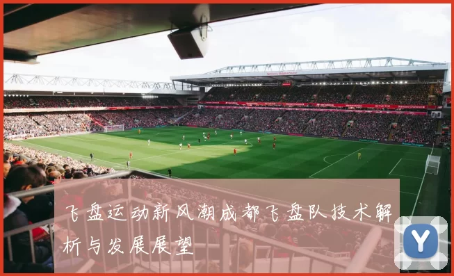 飞盘运动新风潮成都飞盘队技术解析与发展展望