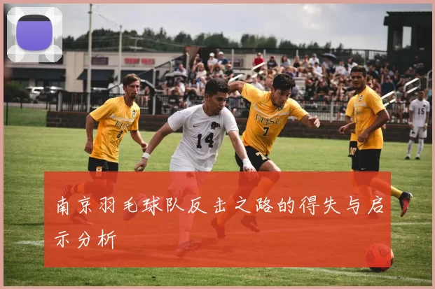 南京羽毛球队反击之路的得失与启示分析