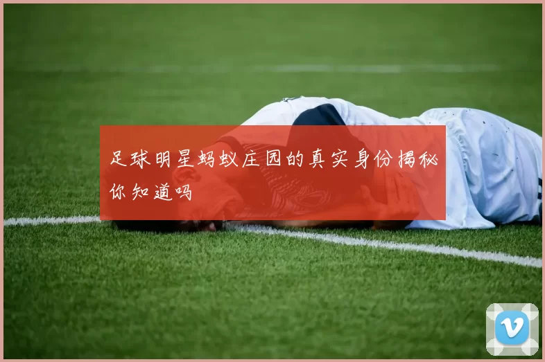 足球明星蚂蚁庄园的真实身份揭秘你知道吗