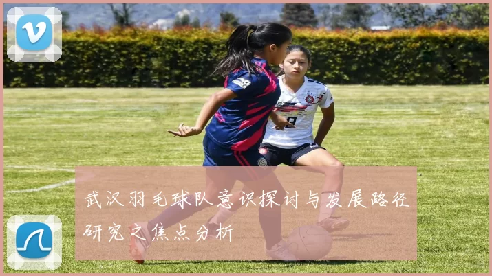 武汉羽毛球队意识探讨与发展路径研究之焦点分析