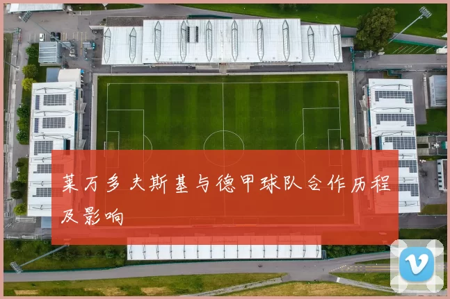莱万多夫斯基与德甲球队合作历程及影响