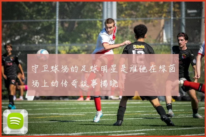 守卫球场的足球明星是谁他在绿茵场上的传奇故事揭晓