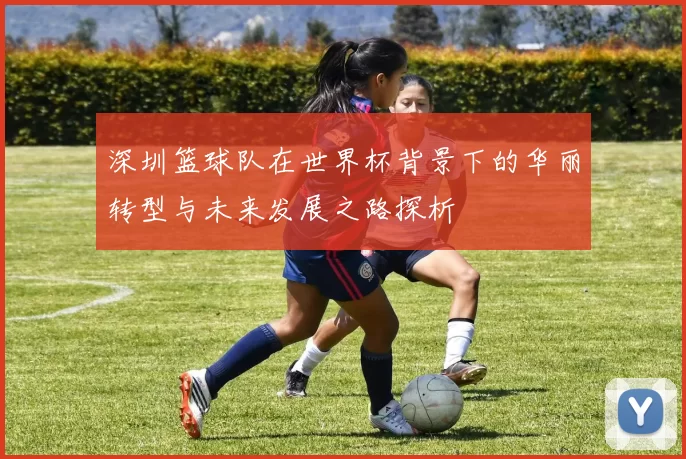 深圳篮球队在世界杯背景下的华丽转型与未来发展之路探析