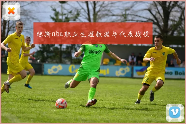 琼斯nba职业生涯数据与代表战役