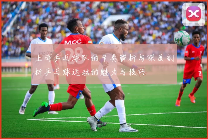 上海乒乓球队的节奏解析与深度剖析乒乓球运动的魅力与技巧