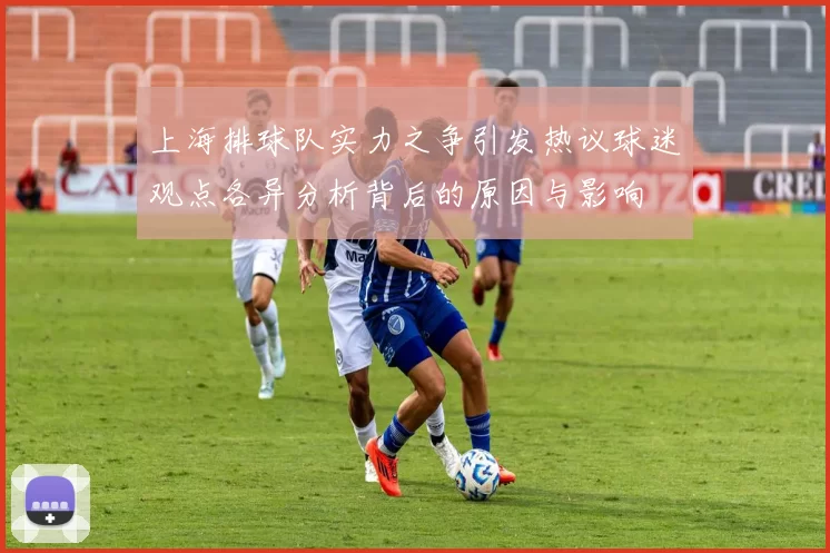 上海排球队实力之争引发热议球迷观点各异分析背后的原因与影响