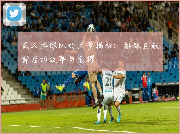 武汉排球队的力量揭秘：排球巨献背后的故事与荣耀