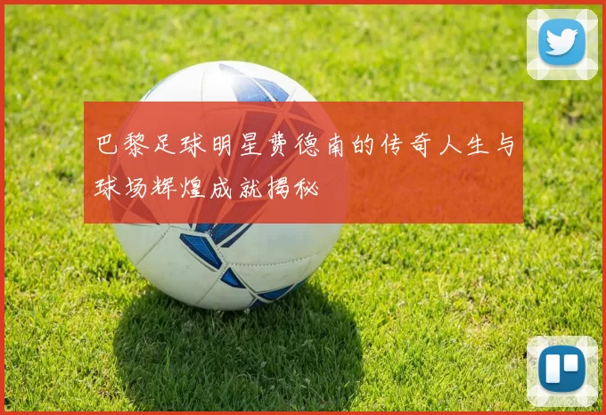 巴黎足球明星费德南的传奇人生与球场辉煌成就揭秘
