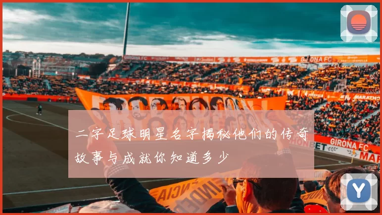 二字足球明星名字揭秘他们的传奇故事与成就你知道多少
