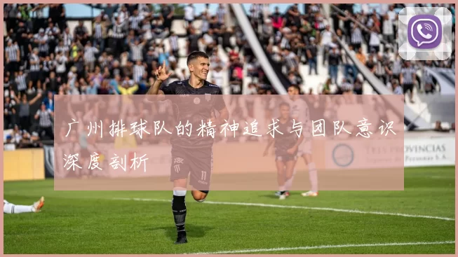 广州排球队的精神追求与团队意识深度剖析