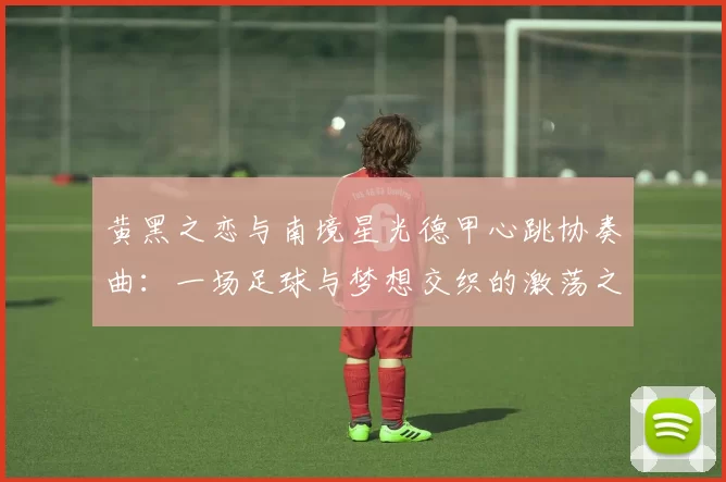 黄黑之恋与南境星光德甲心跳协奏曲：一场足球与梦想交织的激荡之旅