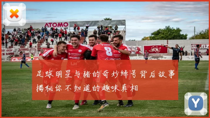 足球明星与猪的奇妙绰号背后故事揭秘你不知道的趣味真相