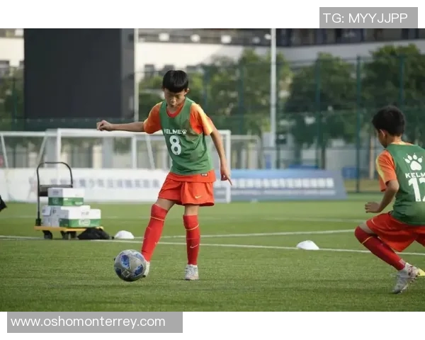 杭州足球队灵活性创新高引发全国关注足球实力再攀新高峰