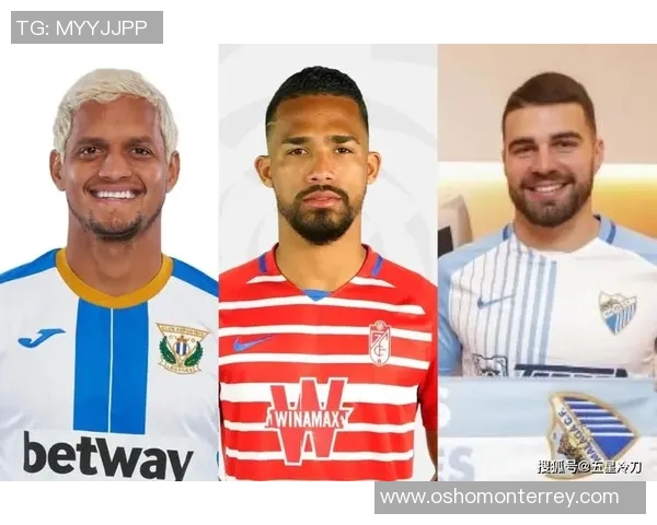 西甲在线回放功能指南:平台推荐与使用技巧